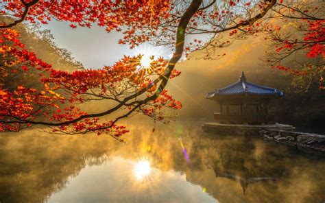 Korean Autumn Wallpapers - Top Free Korean Autumn Backgrounds - WallpaperAccess