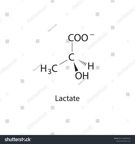 Lactate Chemical Structure On White Background Stock Vector (Royalty ...