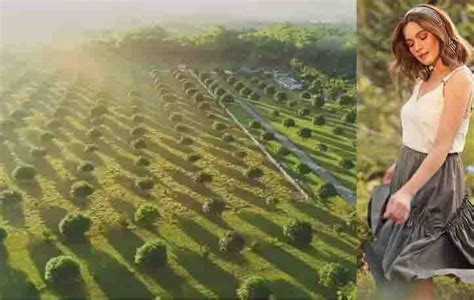 Bea Alonzo gives a tour of 16-hectare farm lot in Zambales – ShowBiz Chika