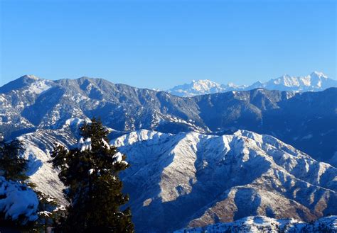 Nag Tibba Trek And Camping: A Comprehensive Guide For 2022 Himalayan Vacation - Tree Of Life