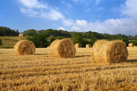 Pictures Of Hay Bales In A Field - PictureMeta