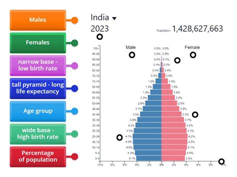 Population Pyramid- INDIA - Labelled diagram