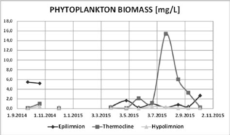 Time series of phytoplankton biomass in: epilimnion, thermocline and ...