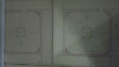 frou frou maison: hallway bathroom tile