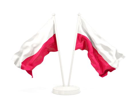 Two waving flags. Illustration of flag of Poland