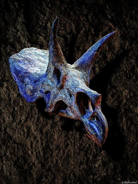 Triceratops Horridus Skull 2 Photograph by Weston Westmoreland - Pixels