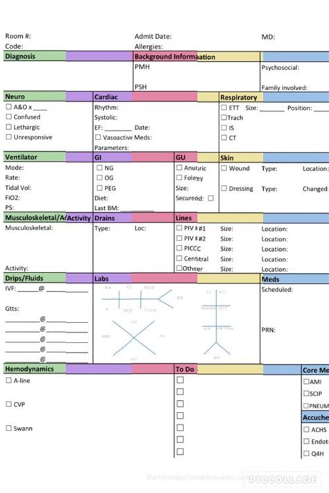 The Nursing School Chronicles | Icu nursing, Icu nurse critical care, Icu nurse report sheet