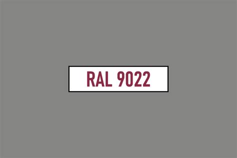 RAL 9022 - Perłowy jasnoszary (Pearl light grey)