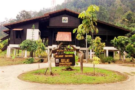 taman negara endau rompin chalet - KristintaroZhang