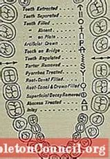 Odontogram: what is it for, types and symbols - science - 2024