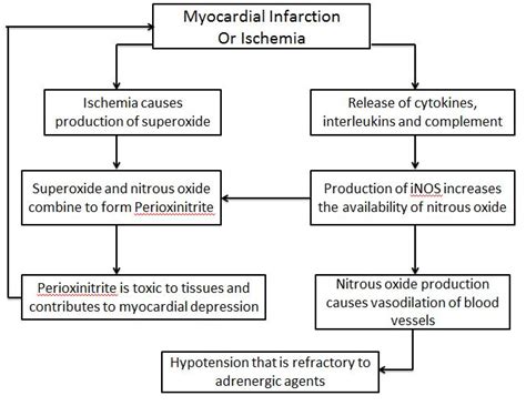 Cardiogenic shock pathophysiology - wikidoc