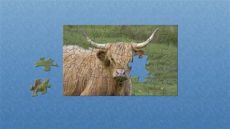 ws Cow Puzzle Main Window - food and wine - A fun puzzle game for all ages.