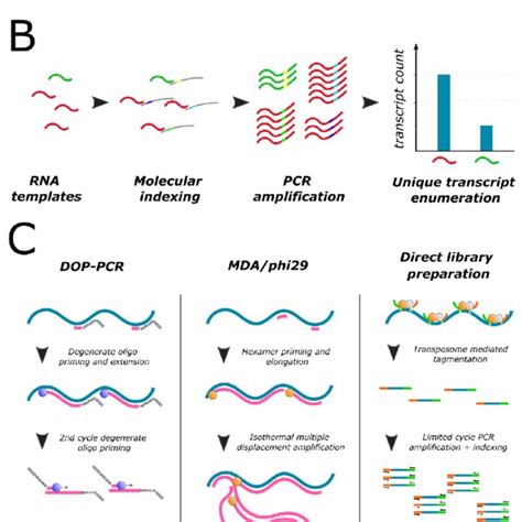 Overview of commonly used single-cell next-generation sequencing... | Download Scientific Diagram