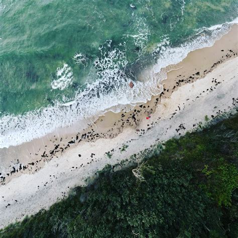 Aerial View of a Beach · Free Stock Photo