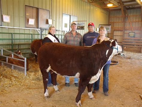 Indianhead Polled Hereford Association: Featured - Indianhead Polled ...