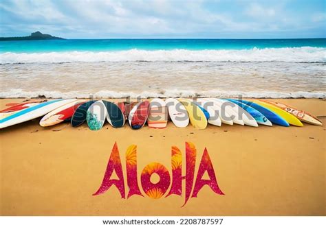 Surfboards Different Shapes Sizes On Sandy Stock Illustration 2208787597 | Shutterstock