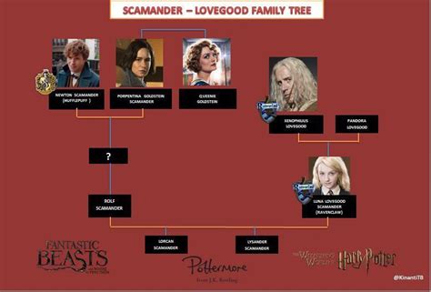 The Fascinating Family Tree Of Newt Scamander – iBikini.cyou