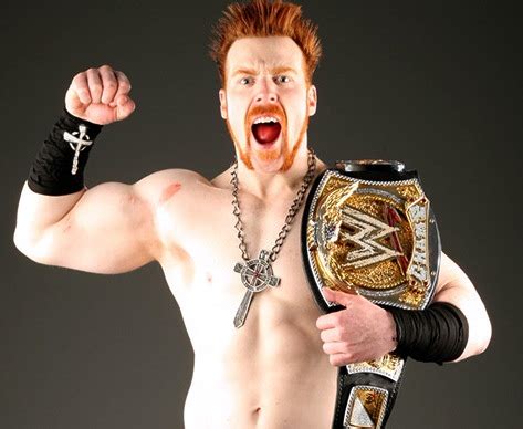 WWe Sheamus Super Star | Wrestling All Stars