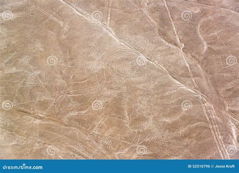 Nazca Lines Monkey Closeup stock photo. Image of vacation - 52510796