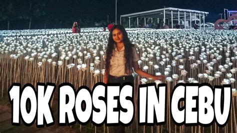 10K ROSES IN CEBU! - YouTube