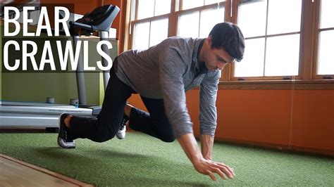 Bear Crawl Exercise - Kinetic Sports Rehab - YouTube