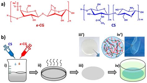 Gels | Free Full-Text | Update on Chitosan-Based Hydrogels: Preparation, Characterization, and ...