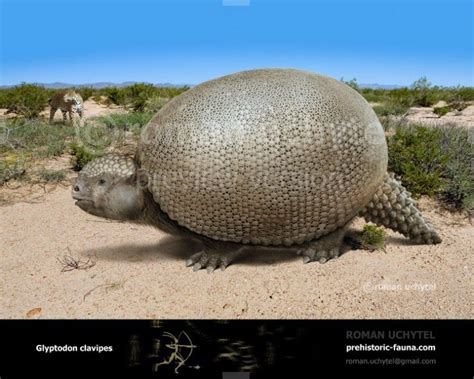 Glyptodon | Extinction, Prehistoric animals, Prehistoric wildlife