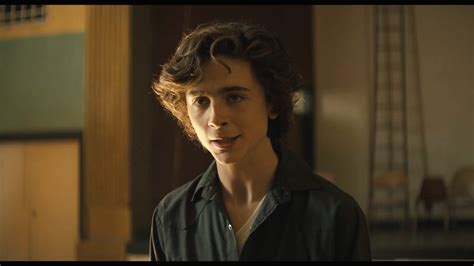 ‘Beautiful Boy’ Review: Timothee Chalamet and Steve Carell Drug Drama ...