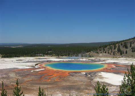 51 Cent Adventures: Two ways to view the Grand Prismatic Spring - Yellowstone National Park