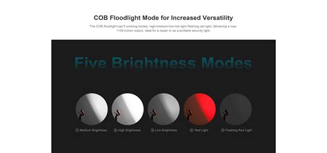 Swivel Pro COB Floodlight Has 5 Working Modes
