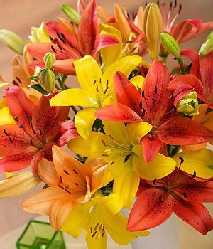 Asiatic Lilies Beautiful Bouquet Of Flowers, Fall Flowers, Orange ...