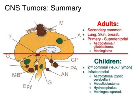 Pathology of CNS Tumors