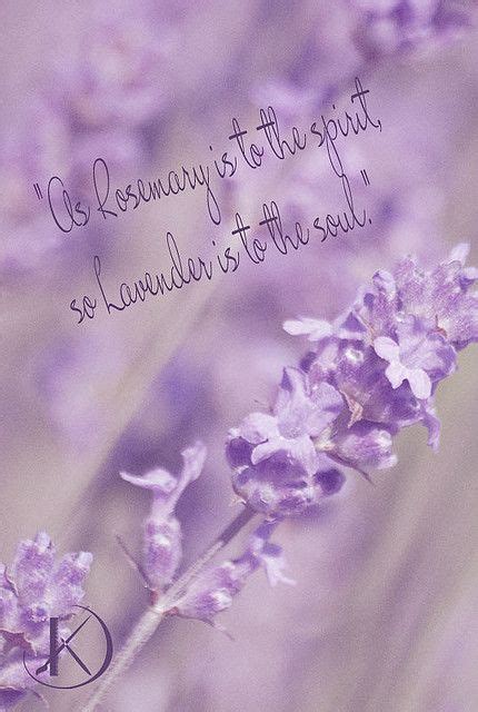 Lilac Quotes - ShortQuotes.cc