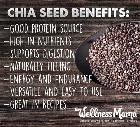 Benefits of Chia Seeds (27 Creative Ways to Use Them) | Wellness Mama