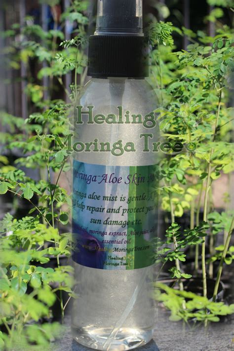 Moringa Hair and Skin Care Systems - MORINGA CAPSULES BENEFITS*MORINGA TREES FOR SALE NEAR ME ...