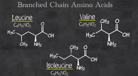 Branched chain amino acids | The Perfect 105