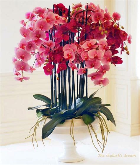 Pink Orchids | Orchid arrangements, Artificial flower arrangements, Orchid flower arrangements