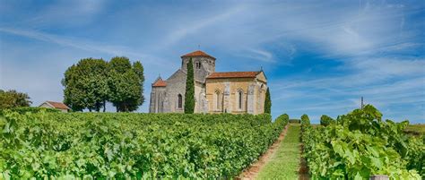 Cognac: Discover its Culture and Gastronomy | a Guide by Cellar Tours™