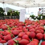 Fruit-Berries 2011-07-02 Torrance Farmers Market 029