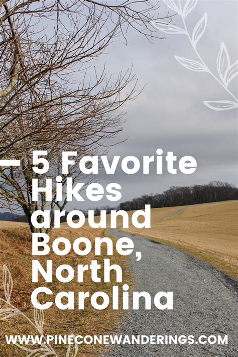 Best Hiking Spots around Boone, NC | PineconeWanderings | North ...