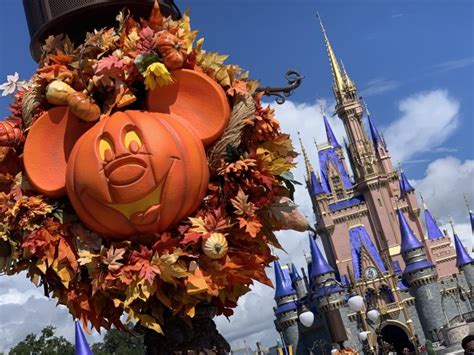 2025 Fall & Halloween Activities and Events at Walt Disney World