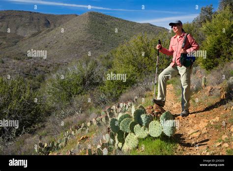 Cave Creek Trail, Tonto National Forest, Arizona Stock Photo - Alamy