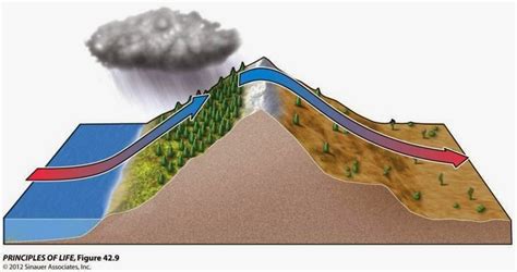 Mrs. Remis' Earth Science Blog - 6th grade: WIND & LEEWARD VS. WINDWARD