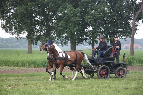 20140713-1051-36 | Horse and Carriage Driving Competition 20… | Flickr