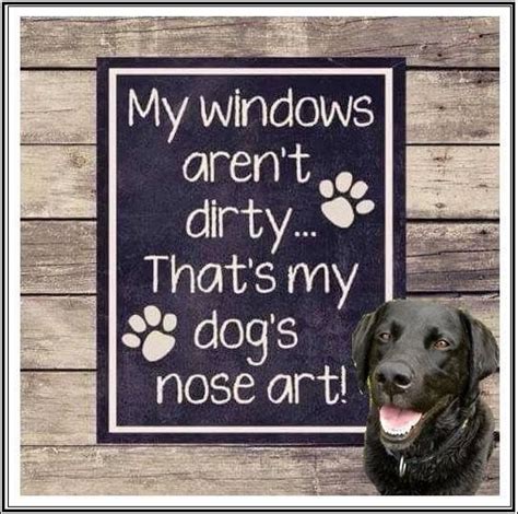 Pin by Wendy Hall on Funny | Dog nose, Nose art, Dog quotes