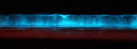 Bioluminescence | Causes of Color