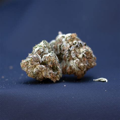 Death Bubba (AA) - Granville Island Cannabis