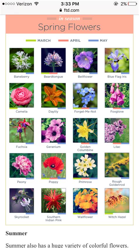 Flowers Plants Names With Images