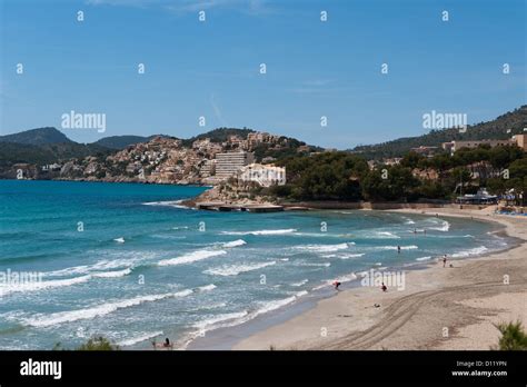 Paguera, Majorca, Spain, beach of Paguera Stock Photo - Alamy