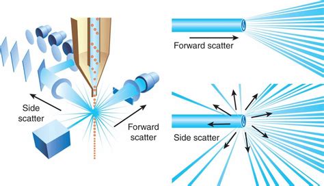 Methods of Molecular Analysis | Oncohema Key